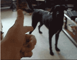 21 Awesome and Funny GIFs