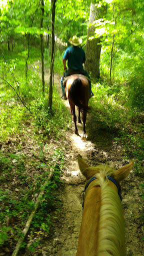 Horseback Riding Service «Grandpa Jeffs Trailrides», reviews and photos, 5889 S Skinner Rd, Morgantown, IN 46160, USA