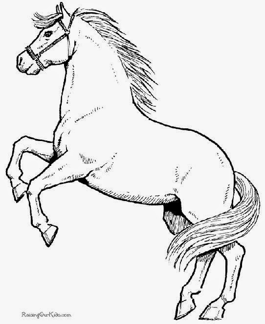 Free Horse Coloring Book Pages Pleasure Gait Farms