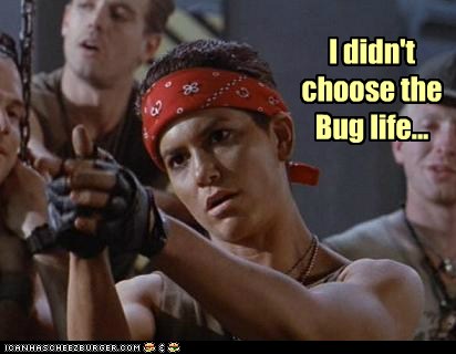 bug life