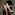 Eve