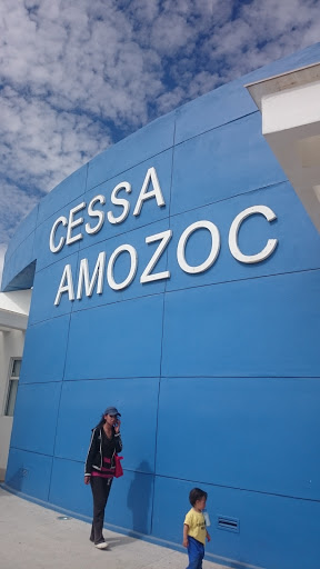 CESSA Amozoc, Carretera Federal Puebla-Tehuacán 103, Tepalcayuca o El Carmen, San José las Flores, 72980 Amozoc de Mota, Pue., México, Centro médico público | PUE