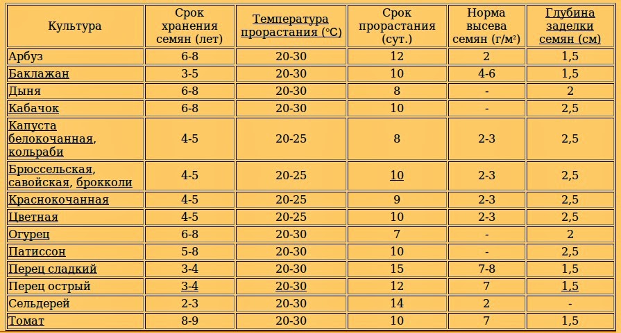 На какую глубину сажать кукурузу 65