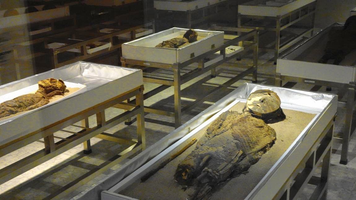 Chile's quest to save melting mummies Chile's quest to save melting mummies