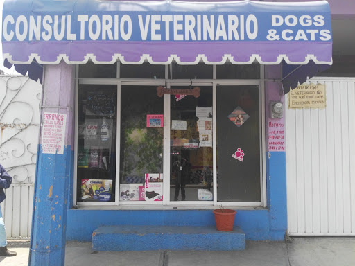 Consultorio Veterinaria Dogs y Cats, Av J. M. Morelos 53, San Gregorio Cuautzingo, 56640 San Gregorio Cuautzingo, Méx., México, Veterinario | EDOMEX