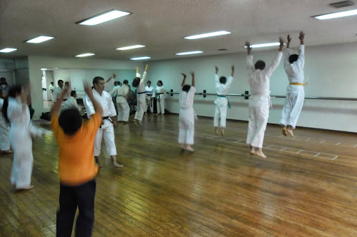 Toshiro Sato Ichi, Calle 5 De Mayo 603, Centro, 72760 Pue., México, Escuela de karate | PUE