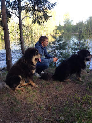 Виталий Петров со своими собаками в лесу