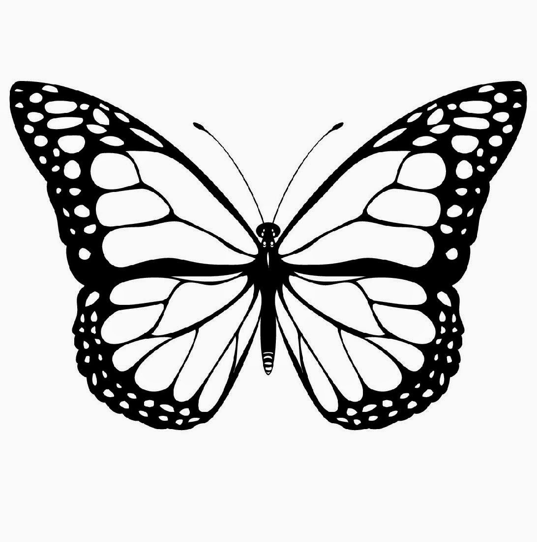 Free Online Printable Kids Colouring Pages Butterfly  - butterfly coloring pages for kids