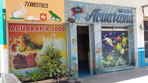 Acuarama 2000, 26850, Fco. I. Madero, Comercial, Nueva Rosita, Coah., México, Tienda de acuarios | COAH