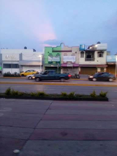 Tonalá Comisaría De Seguridad Pública, Av. Tonaltecas 197, Tonalá Centro, 45400 Tonalá, Jal., México, Oficina de seguridad pública | CHIS