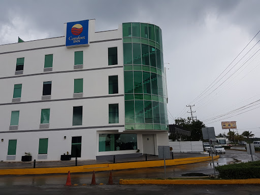 Comfort Inn Cancún Aeropuerto, Carr. Cancun/Aeropouerto Mza 4 Lte 5, SM 301, 77560 Cancún, Q.R., México, Hotel de 4 estrellas | SON