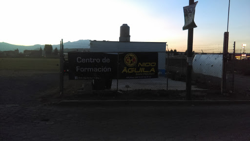 ESCUELA OFICIAL DE FUTBOL NIDO ÁGUILA CHOLULA, 19 Oriente, San Pedro Cholula, 72760 Puebla, Pue., México, Club de fútbol | PUE