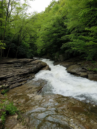 Park «Natural Water Slides», reviews and photos, PA-381, Ohiopyle, PA 15470, USA