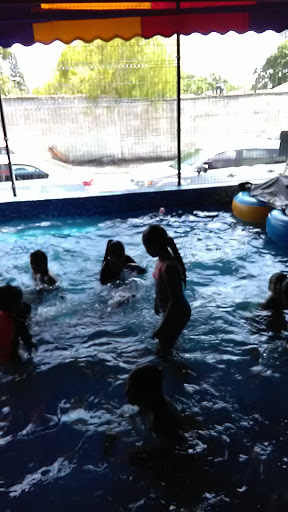 Aqua Kids Party, Centenario 500-506, Árbol Grande, Cd Madero, Tamps., México, Recinto para eventos | TAMPS