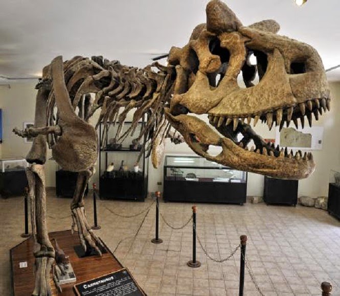 Dinosaur tracks in Bolivia threatened with extinction Dinosaur tracks in Bolivia threatened with extinction
