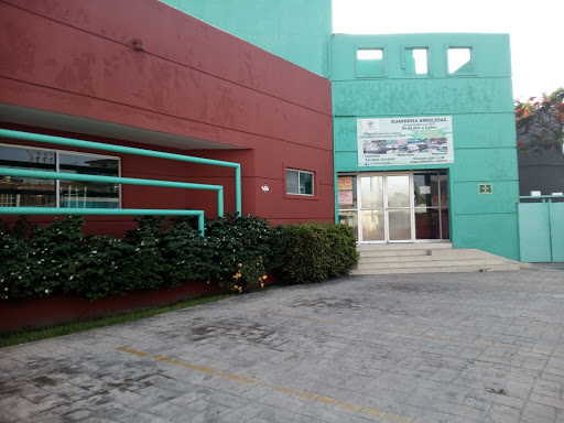 Guardería Arboledas S.C., Calle 2 6, Arboledas, 89603 Miramar, Tamps., México, Preescolar | TAMPS