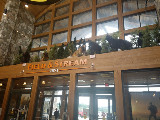 Outdoor Sports Store «Field & Stream», reviews and photos, 60 Old Mill Blvd, Washington, PA 15301, USA