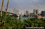 GP OF LIUZHOU CHINA - October 15, 2010: Liuzhou is located on the banks of the winding Liu River, approximately 255 km from Nanning, the provincial capital. Liuzhou is 1,852 kilometres from Beijing, 1,415 km from Shanghai and 537 km from Hong Kong. Swimming in the river is a tradition of the city. In summer, floods from the mountain areas upstream bring sediment which colors the water yellow. Picture by Vittorio Ubertone/Idea Marketing GP OF LIUZHOU CHINA - October 15, 2010: Liuzhou is located on the banks of the winding Liu River, approximately 255 km from Nanning, the provincial capital. Liuzhou is 1,852 kilometres from Beijing, 1,415 km from Shanghai and 537 km from Hong Kong. Swimming in the river is a tradition of the city. In summer, floods from the mountain areas upstream bring sediment which colors the water yellow. Picture by Vittorio Ubertone/Idea Marketing