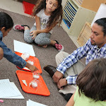Science in Montessori involves lots of observations. What do plants need to grow? Let's see what happens if we put some seeds in a warm spot, and others in the fridge, some with light, and some without. Students are encouraged to talk through insights gained from observations--instead of being given ready-made answers. Science in Montessori involves lots of observations. What do plants need to grow? Let's see what happens if we put some seeds in a warm spot, and others in the fridge, some with light, and some without. Students are encouraged to talk through insights gained from observations--instead of being given ready-made answers.