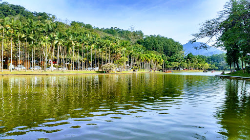 Pedalinho, Lago do Parque Malwee - Parque Malwee, Jaraguá do Sul - SC, Brasil, Parque, estado Santa Catarina