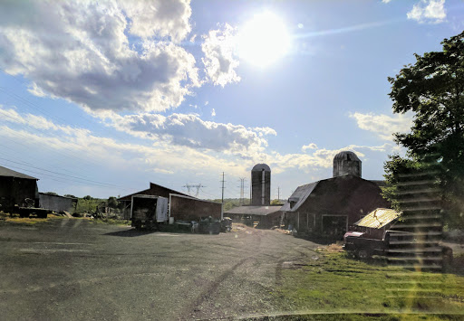 Farm «Norz Hill Farm & Market, LLC», reviews and photos, 120 S Branch Rd, Hillsborough Township, NJ 08844, USA