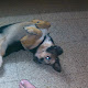 Mi foto