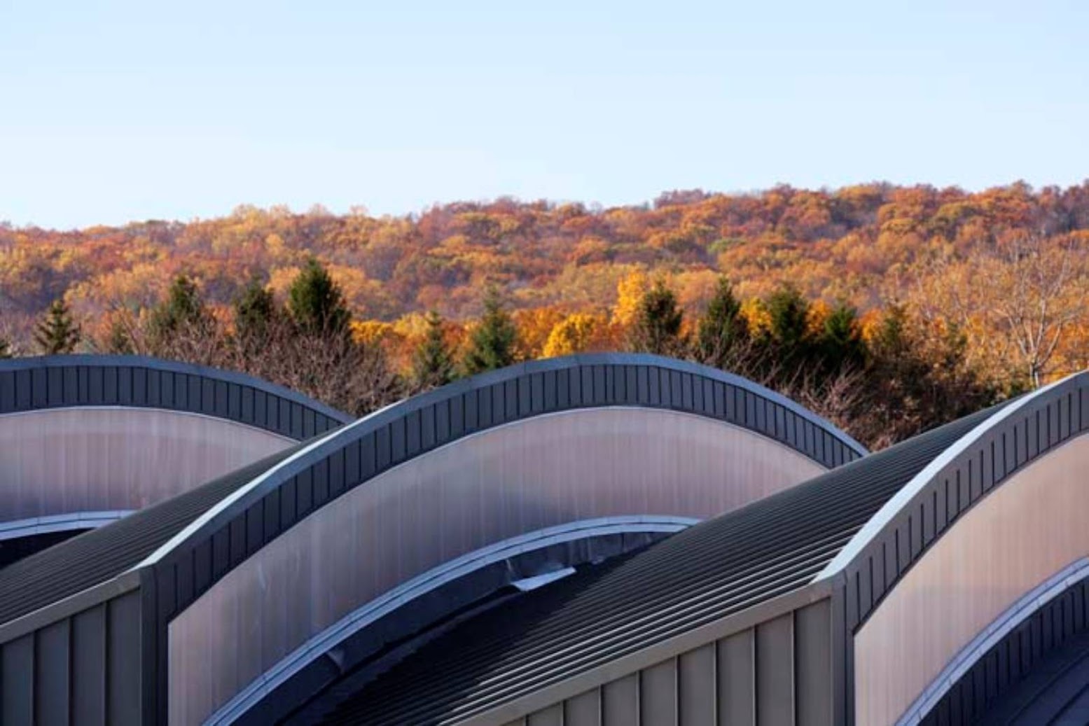 WXY Architecture