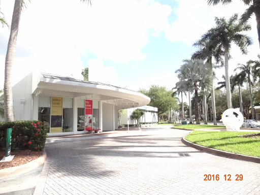 Museum «Lowe Art Museum», reviews and photos, 1301 Stanford Dr, Miami, FL 33146, USA