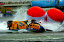 Shenzhen - China - October 25, 2008 - First free practice for the Grand Prix of Shenzhen: This GP is the 6th leg of the UIM F1 Powerboat World Championship 2008. Picture by Vittorio Ubertone/Idea Marketing.
