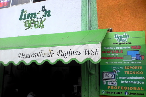 Limón Geek, Calle 2 Nte 234, Centro de la Ciudad, 75700 Tehuacán, Pue., México, Servicio de marketing por Internet | PUE