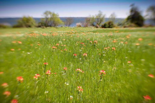 Oak Thicket Park - Lake Fayette