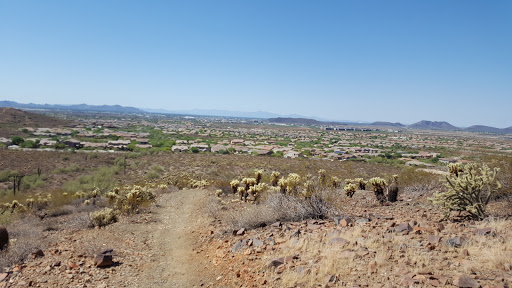 1900 W Desert Vista Trail, Phoenix, AZ 85085, USA