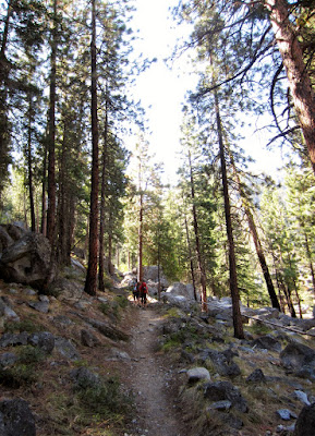 Heading up the Snow Creek trail