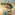 Clair