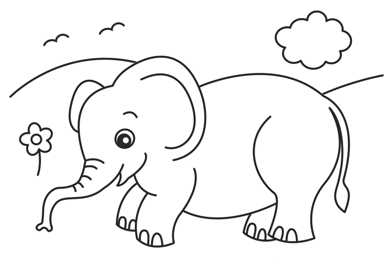 Diego's Animal Coloring Book Nick Jr - printing coloring pages of animals