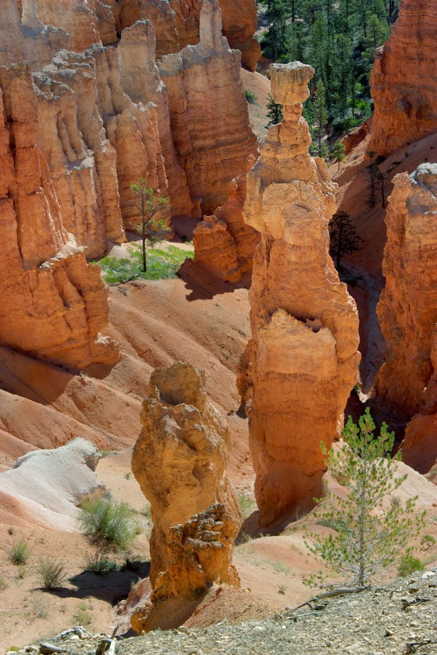 Día 11: Visita a Bryce y llegada a Zion - Parques nacionales del oeste de EEUU and more (7)