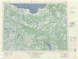 Thumbnail U. S. Army map np37-1