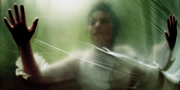 Helen Warner Photography