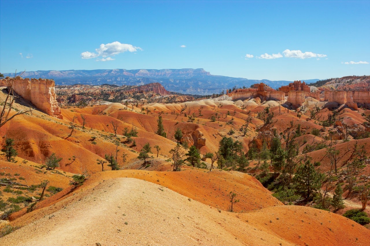 Día 11: Visita a Bryce y llegada a Zion - Parques nacionales del oeste de EEUU and more (24)