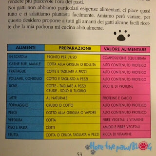 Tabella alimenti casalinghi gatti