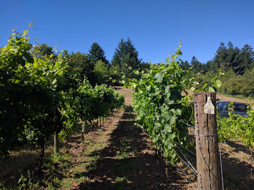 Winery «Apolloni Vineyards», reviews and photos, 14135 NW Timmerman Rd, Forest Grove, OR 97116, USA