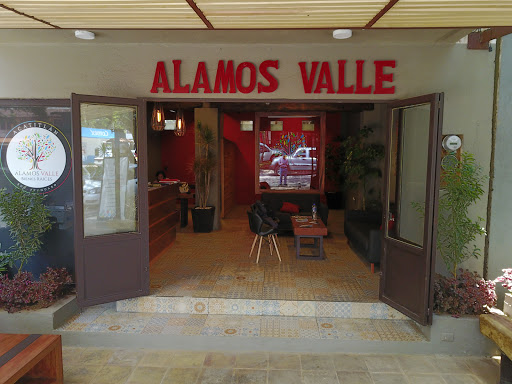 Alamos Valle Suc. Avandaro, Avándaro, Rosales 117, Avandaro, 51200 Valle de Bravo, Méx., México, Agencia inmobiliaria | EDOMEX