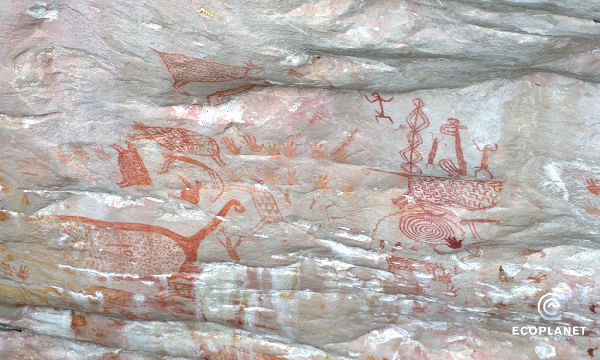 World’s most inaccessible art found in the heart of the Colombian jungle World’s most inaccessible art found in the heart of the Colombian jungle