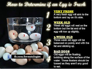 You can test an egg for freshness by placing it gently in a bowl of water. Don’t eat the egg if it floats! Image of You can test an egg for freshness by placing it gently in a bowl of water. Don’t eat the egg if it floats!