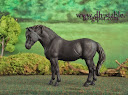 dh-stable.blogspot.com/2014/06/modelli-di-cavalli-dartmoor-pony.html