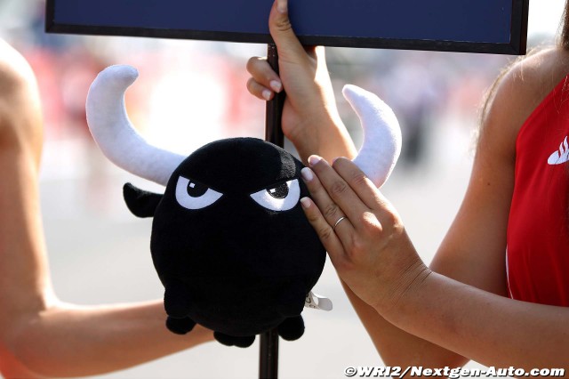 грид-герл держит плюшевого бычка на Гран-при Италии 2011