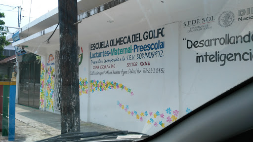 Escuela Olmeca del Golfo, Cuichapa 343, Diaz Ordaz, 96660 Agua Dulce, Ver., México, Jardín de infancia | VER
