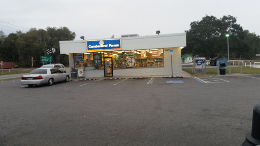 Gas Station «Cumberland Farms», reviews and photos, 2805 N Florida Ave, Hernando, FL 34442, USA