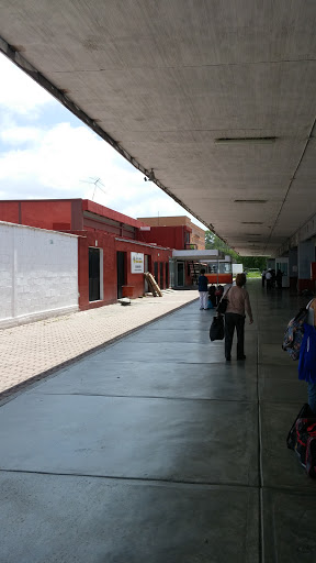 Flecha Amarilla, Estaciones 90, Allende, 37760 San Miguel de Allende, Gto., México, Servicio de transporte | GTO