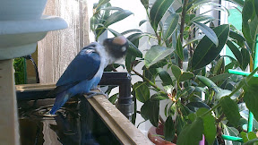 IMAG0412.jpg